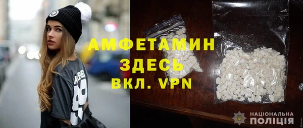 крисы Горняк