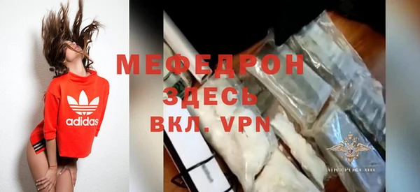 стаф Богданович