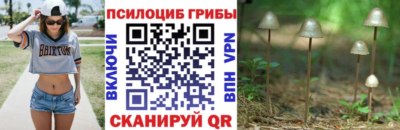 мориарти какой сайт  Минусинск  Галлюциногенные грибы MAGIC MUSHROOMS 